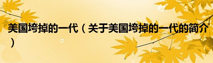 美國(guó)垮掉的一代（關(guān)于美國(guó)垮掉的一代的簡(jiǎn)介）