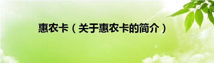 惠農(nóng)卡（關(guān)于惠農(nóng)卡的簡介）