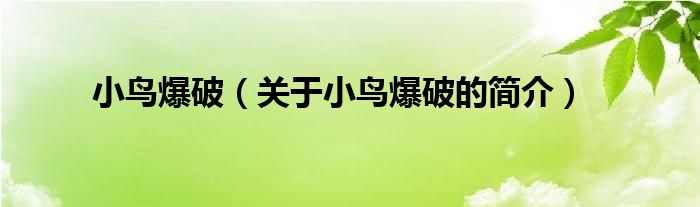 小鳥爆破（關(guān)于小鳥爆破的簡(jiǎn)介）