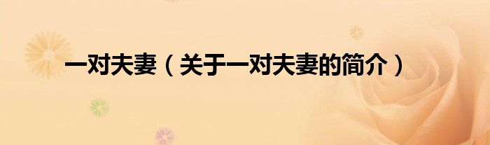 一對(duì)夫妻（關(guān)于一對(duì)夫妻的簡(jiǎn)介）