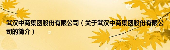 武漢中商集團股份有限公司（關于武漢中商集團股份有限公司的簡介）