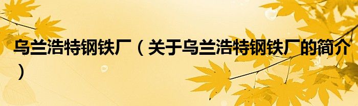 烏蘭浩特鋼鐵廠（關(guān)于烏蘭浩特鋼鐵廠的簡(jiǎn)介）