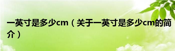 一英寸是多少cm（關(guān)于一英寸是多少cm的簡(jiǎn)介）