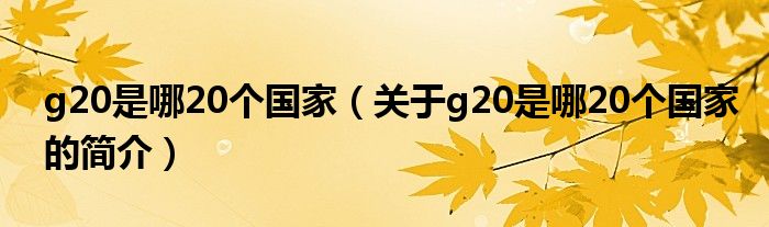 g20是哪20個國家（關(guān)于g20是哪20個國家的簡介）