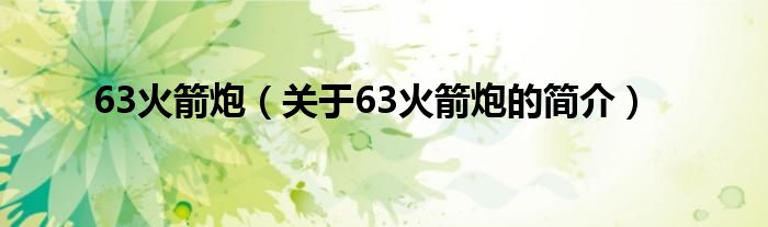 63火箭炮（關(guān)于63火箭炮的簡介）