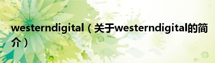 westerndigital（關于westerndigital的簡介）