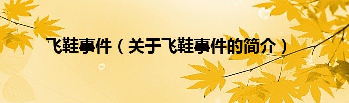 飛鞋事件（關(guān)于飛鞋事件的簡(jiǎn)介）