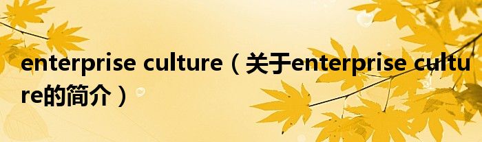 enterprise culture（關于enterprise culture的簡介）