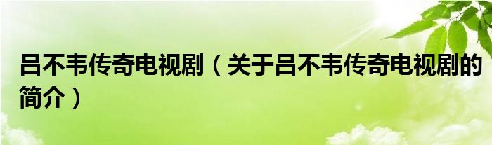 呂不韋傳奇電視?。P于呂不韋傳奇電視劇的簡介）