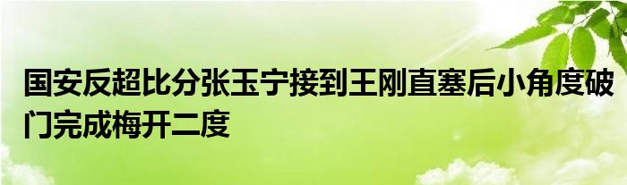 國(guó)安反超比分張玉寧接到王剛直塞后小角度破門完成梅開二度