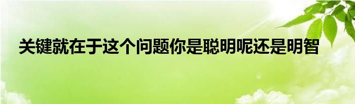 關鍵就在于這個問題你是聰明呢還是明智