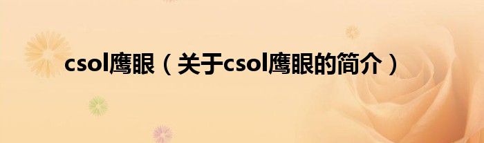 csol鷹眼（關于csol鷹眼的簡介）