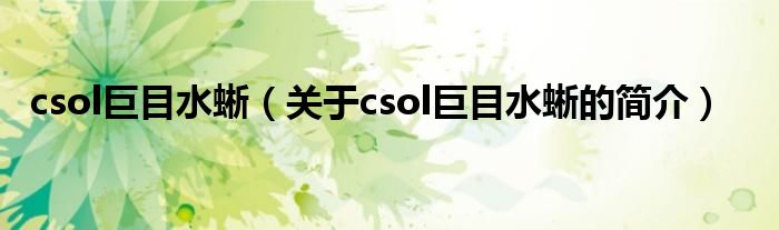 csol巨目水蜥（關于csol巨目水蜥的簡介）