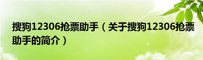 搜狗12306搶票助手（關(guān)于搜狗12306搶票助手的簡介）