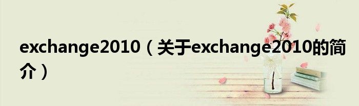 exchange2010（關(guān)于exchange2010的簡介）