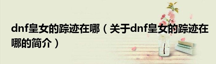 dnf皇女的蹤跡在哪（關于dnf皇女的蹤跡在哪的簡介）