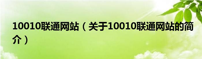 10010聯(lián)通網(wǎng)站（關(guān)于10010聯(lián)通網(wǎng)站的簡(jiǎn)介）