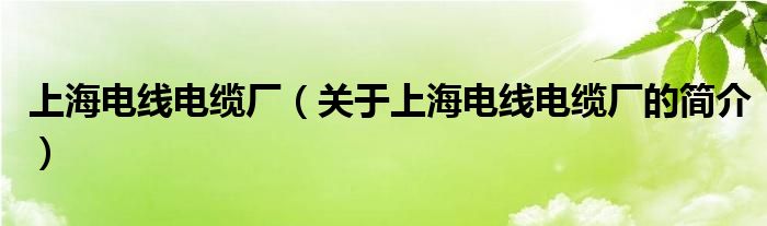 上海電線電纜廠（關(guān)于上海電線電纜廠的簡(jiǎn)介）