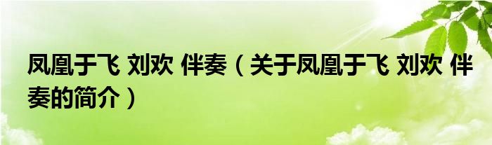 鳳凰于飛 劉歡 伴奏（關(guān)于鳳凰于飛 劉歡 伴奏的簡(jiǎn)介）