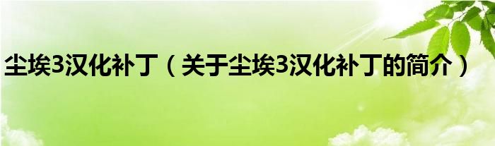 塵埃3漢化補(bǔ)?。P(guān)于塵埃3漢化補(bǔ)丁的簡介）