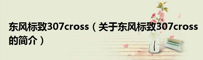 東風(fēng)標(biāo)致307cross（關(guān)于東風(fēng)標(biāo)致307cross的簡(jiǎn)介）