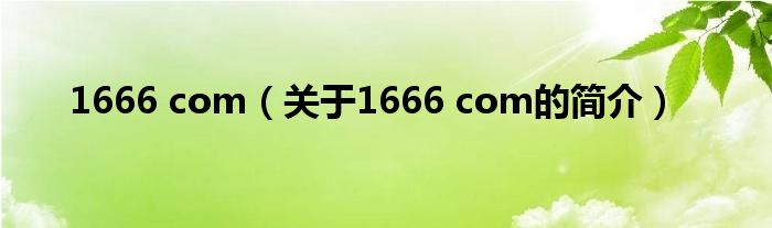 1666 com（關(guān)于1666 com的簡介）