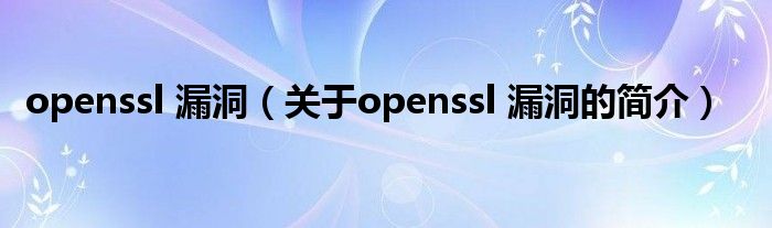 openssl 漏洞（關(guān)于openssl 漏洞的簡(jiǎn)介）