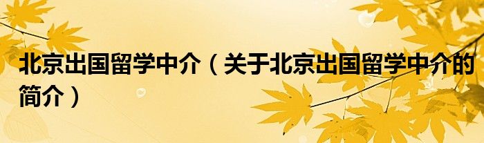 北京出國留學(xué)中介（關(guān)于北京出國留學(xué)中介的簡(jiǎn)介）