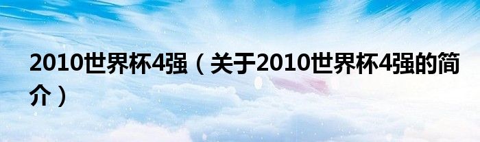 2010世界杯4強（關(guān)于2010世界杯4強的簡介）