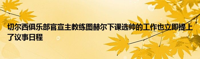 切爾西俱樂(lè)部官宣主教練圖赫爾下課選帥的工作也立即提上了議事日程