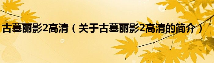 古墓麗影2高清（關(guān)于古墓麗影2高清的簡(jiǎn)介）