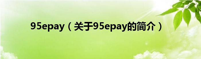 95epay（關于95epay的簡介）