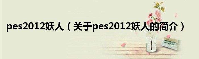 pes2012妖人（關(guān)于pes2012妖人的簡介）