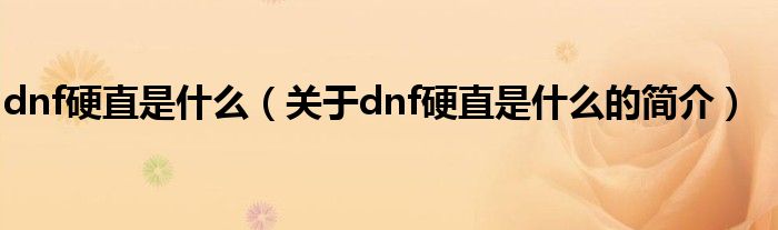 dnf硬直是什么（關(guān)于dnf硬直是什么的簡介）