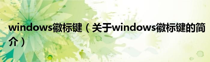 windows徽標(biāo)鍵（關(guān)于windows徽標(biāo)鍵的簡(jiǎn)介）