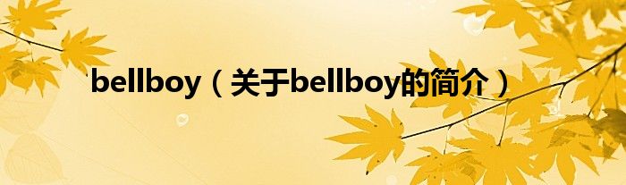 bellboy（關于bellboy的簡介）