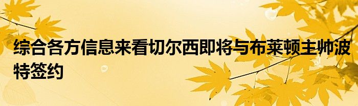 綜合各方信息來看切爾西即將與布萊頓主帥波特簽約