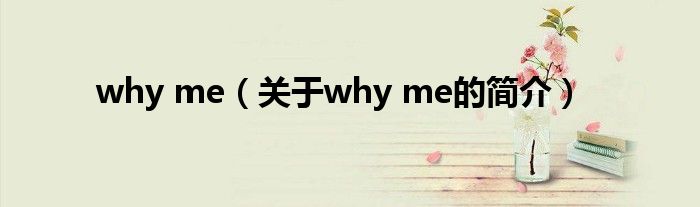 why me（關于why me的簡介）