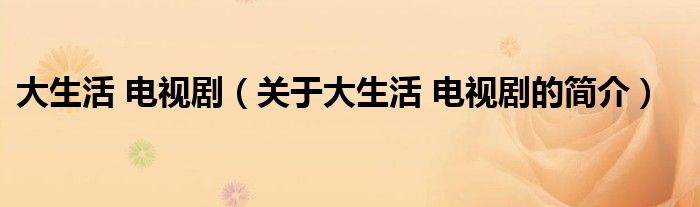 大生活 電視?。P(guān)于大生活 電視劇的簡(jiǎn)介）