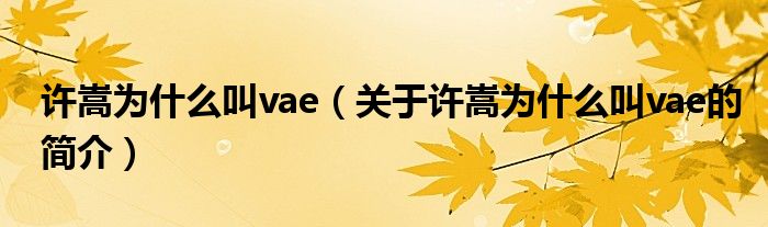 許嵩為什么叫vae（關(guān)于許嵩為什么叫vae的簡介）