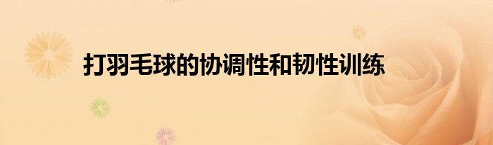 打羽毛球的協(xié)調性和韌性訓練