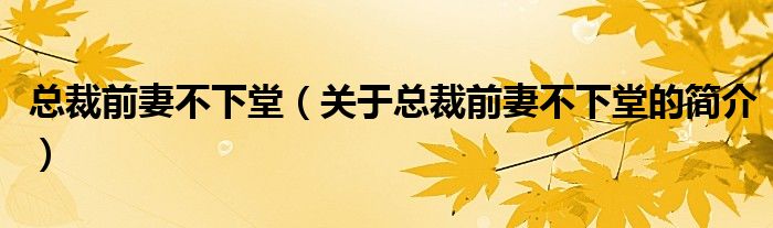 總裁前妻不下堂（關(guān)于總裁前妻不下堂的簡(jiǎn)介）