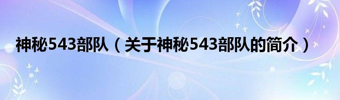 神秘543部隊（關(guān)于神秘543部隊的簡介）