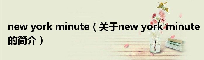 new york minute（關于new york minute的簡介）