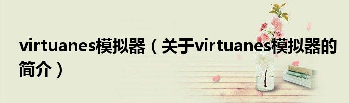 virtuanes模擬器（關于virtuanes模擬器的簡介）