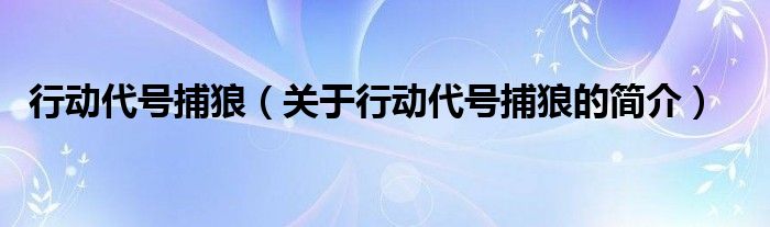 行動代號捕狼（關(guān)于行動代號捕狼的簡介）