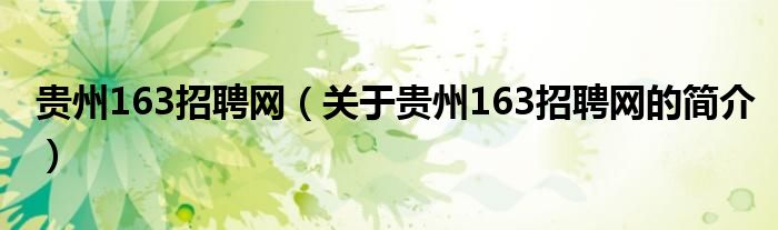 貴州163招聘網(wǎng)（關(guān)于貴州163招聘網(wǎng)的簡(jiǎn)介）