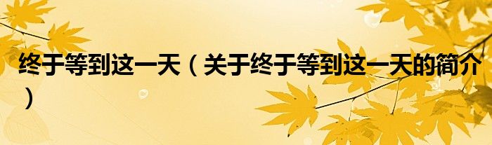 終于等到這一天（關(guān)于終于等到這一天的簡介）