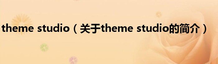 theme studio（關于theme studio的簡介）