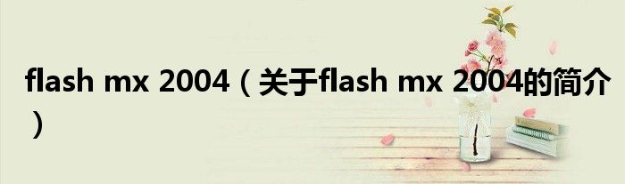 flash mx 2004（關于flash mx 2004的簡介）